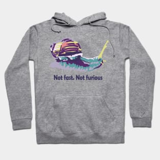 Not Fast Not Furious Snail Hoodie